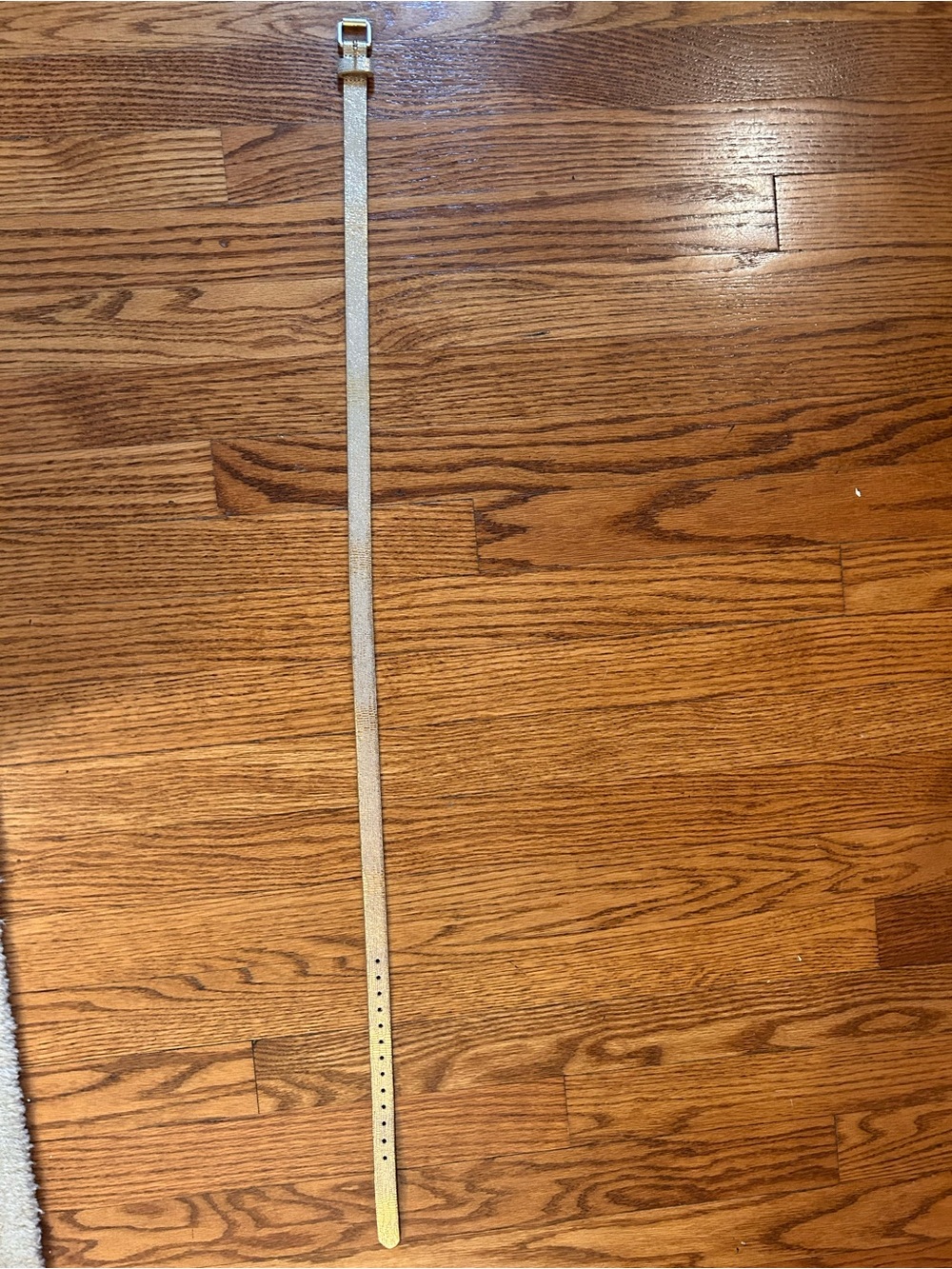 Gap Metallic Gold Belt